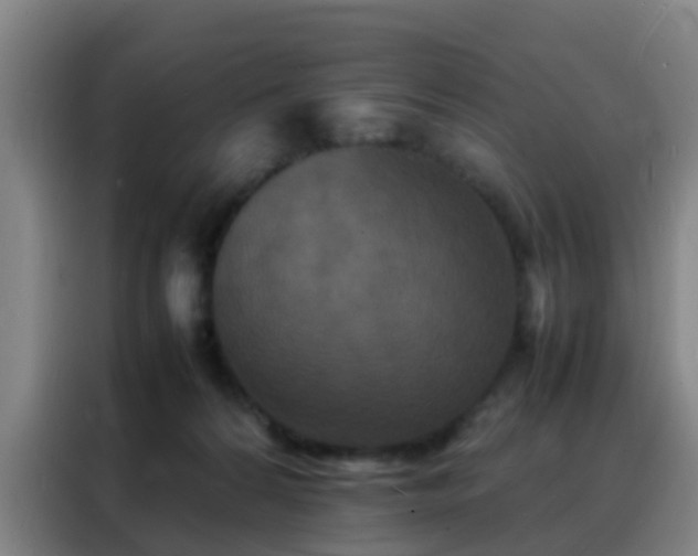 X0000088130224200705211122