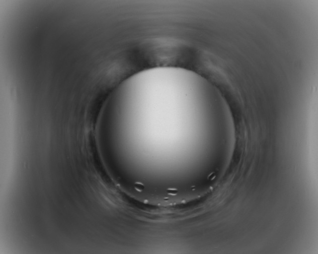 X0000088130225200705211122