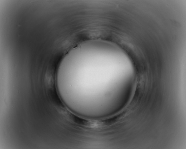 X0000088130226200705211122