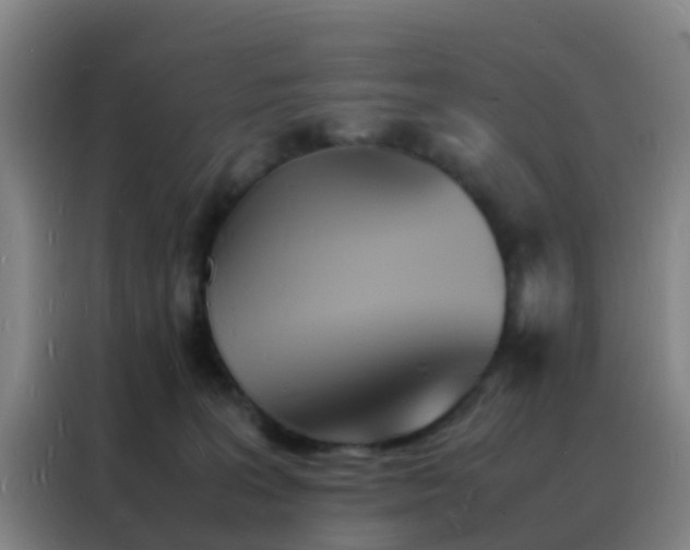 X0000088130227200705211122