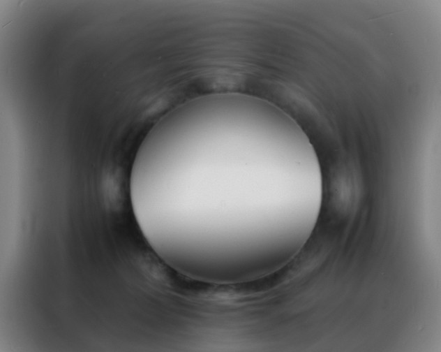 X0000088130228200705211122