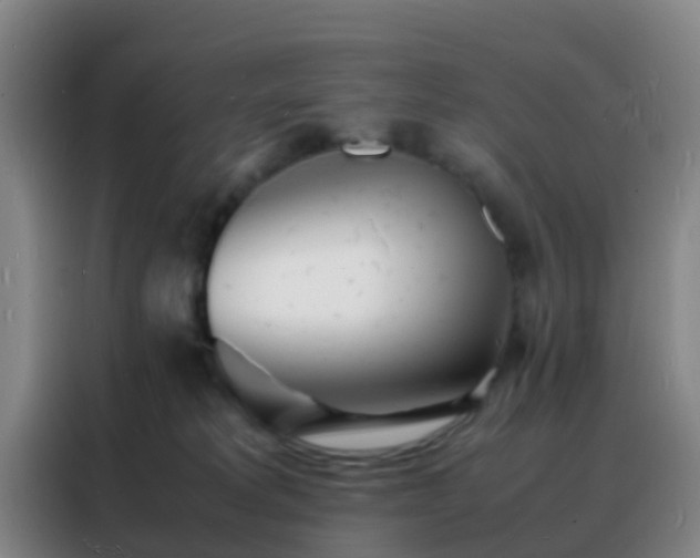 X0000088130229200705211122