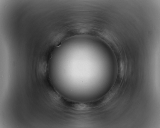 X0000088130230200705211122