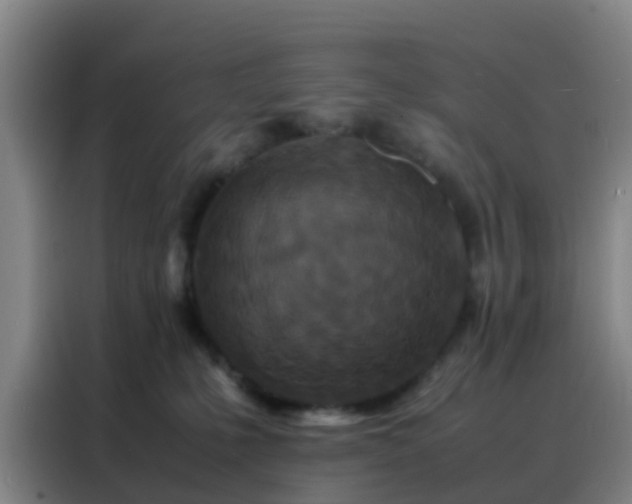 X0000088130231200705211122