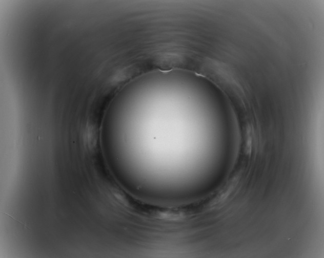 X0000088130232200705211122