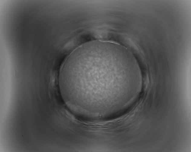 X0000088130233200705211122