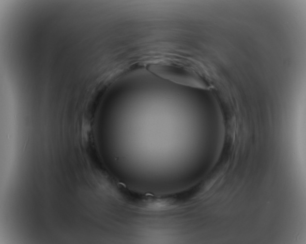 X0000088130235200705211122