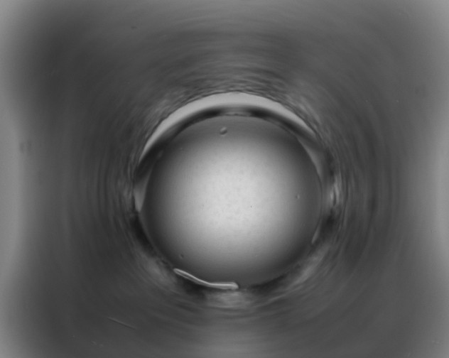 X0000088130237200705211122