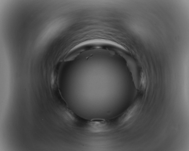 X0000088130239200705211122