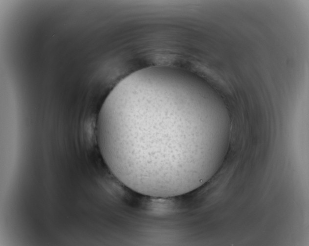 X0000088130240200705211122