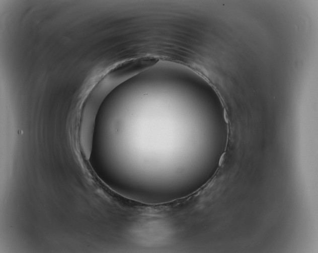 X0000088130241200705211121