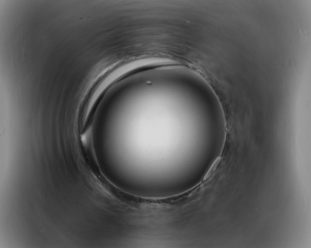 X0000088130242200705211121