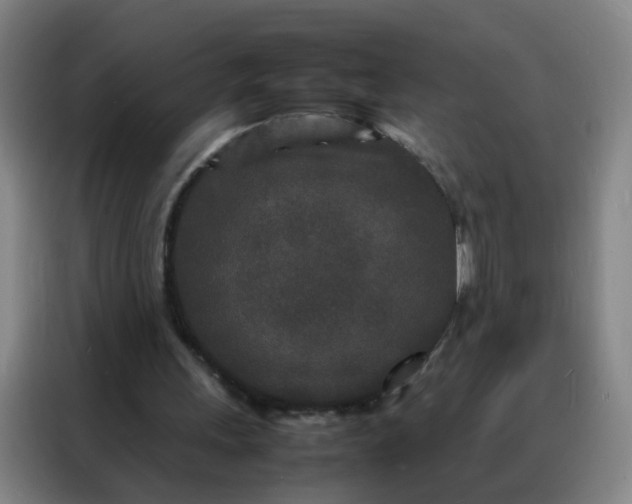 X0000088130243200705211121