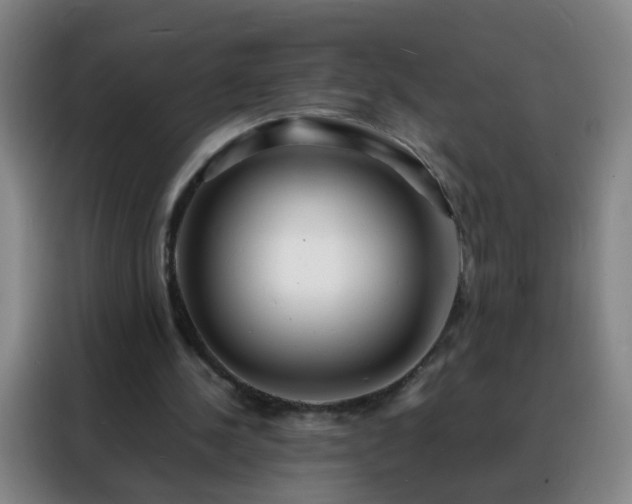 X0000088130244200705211121