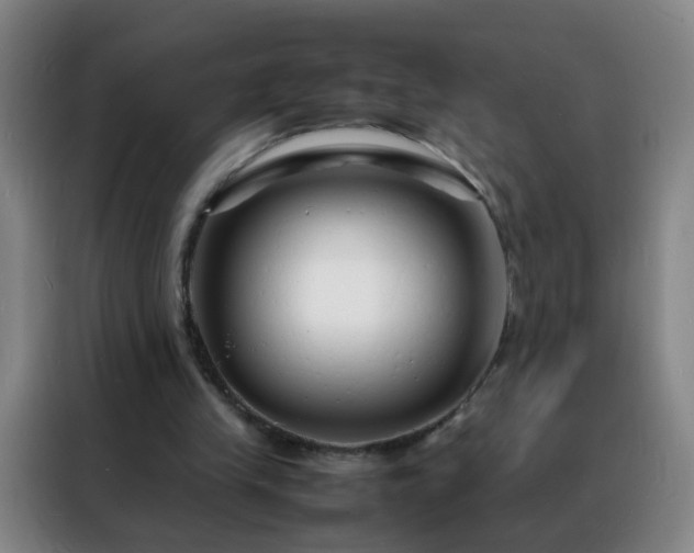 X0000088130245200705211121