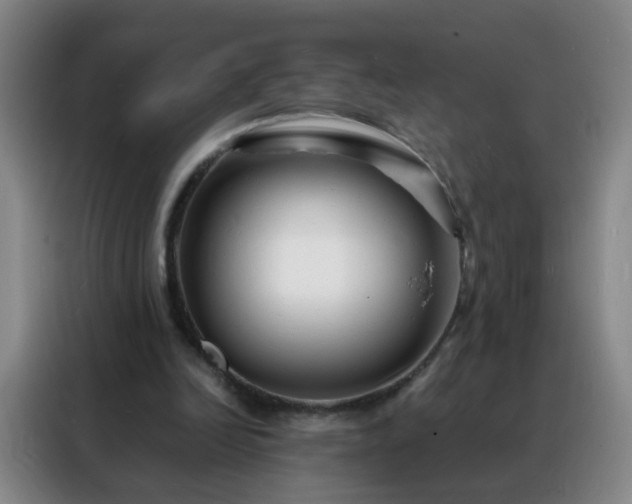 X0000088130246200705211121