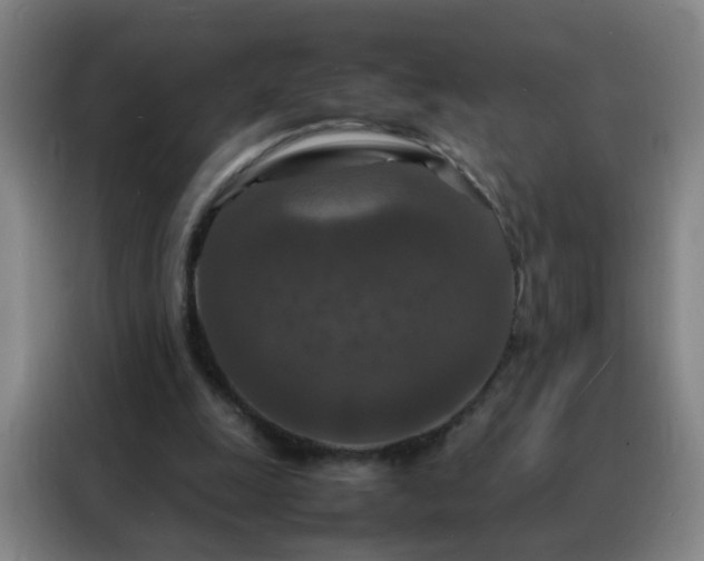 X0000088130247200705211121