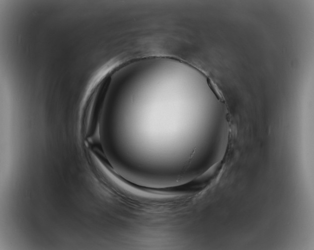 X0000088130248200705211121