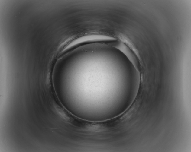 X0000088130249200705211121