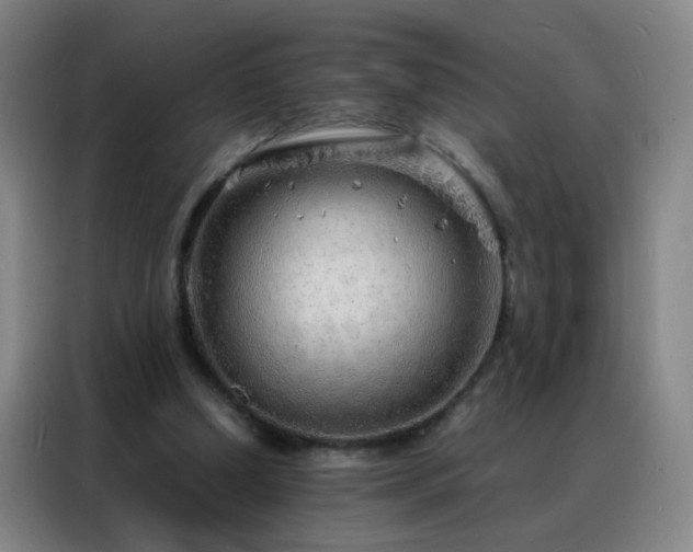 X0000088130250200705211121