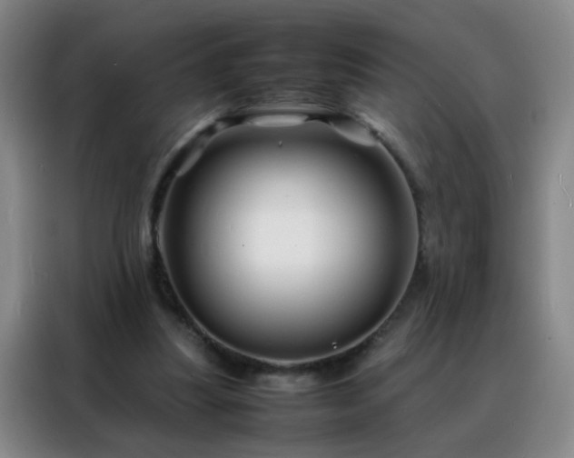 X0000088130251200705211121