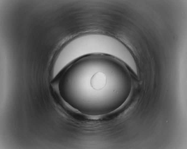 X0000088130252200705211121