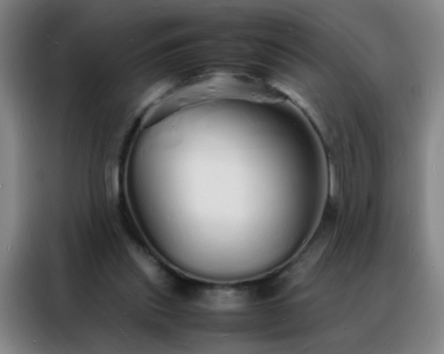 X0000088130253200705211121