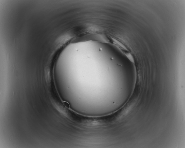 X0000088130254200705211121