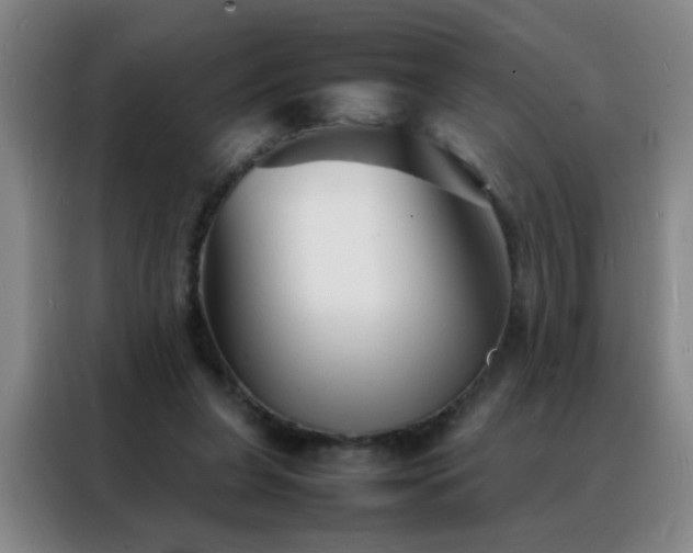 X0000088130255200705211121