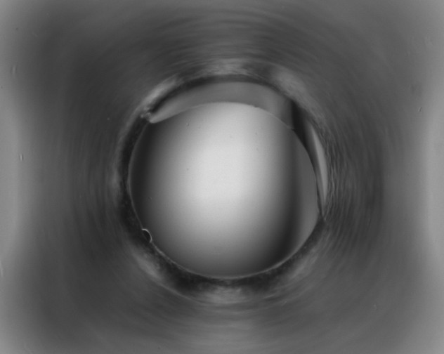 X0000088130256200705211121