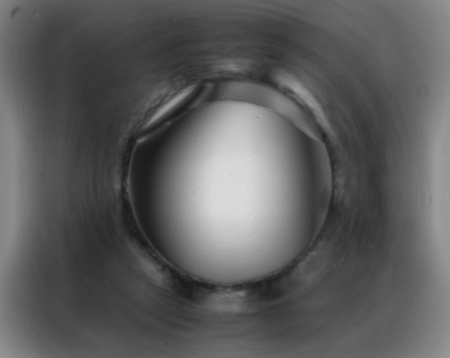 X0000088130257200705211121