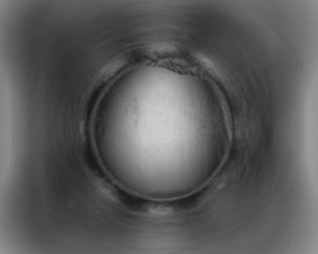 X0000088130258200705211121