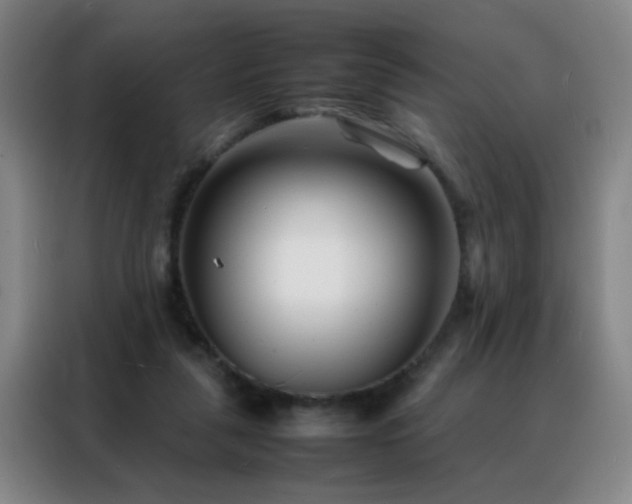 X0000088130259200705211121