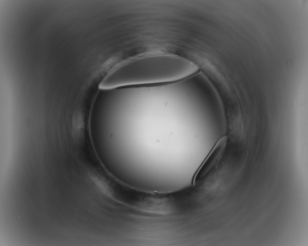 X0000088130260200705211121