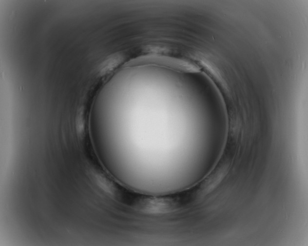 X0000088130261200705211121