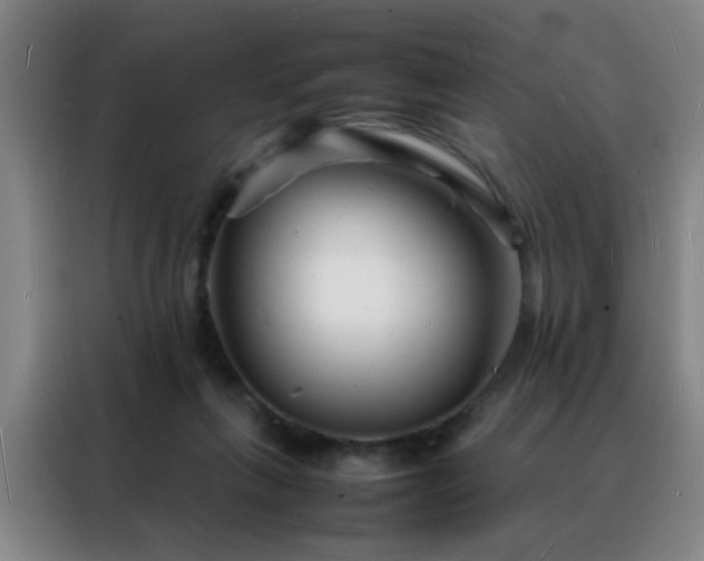 X0000088130263200705211121