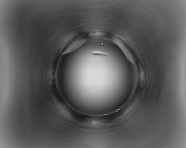 X0000088130264200705211121