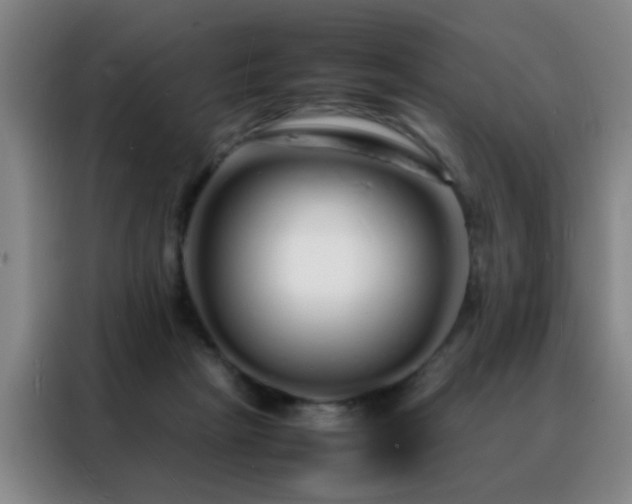 X0000088130265200705211121