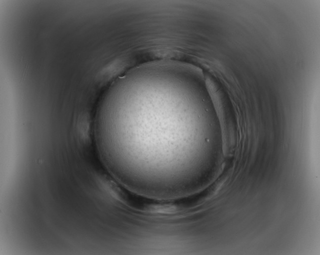 X0000088130266200705211121