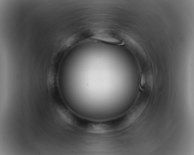 X0000088130268200705211121