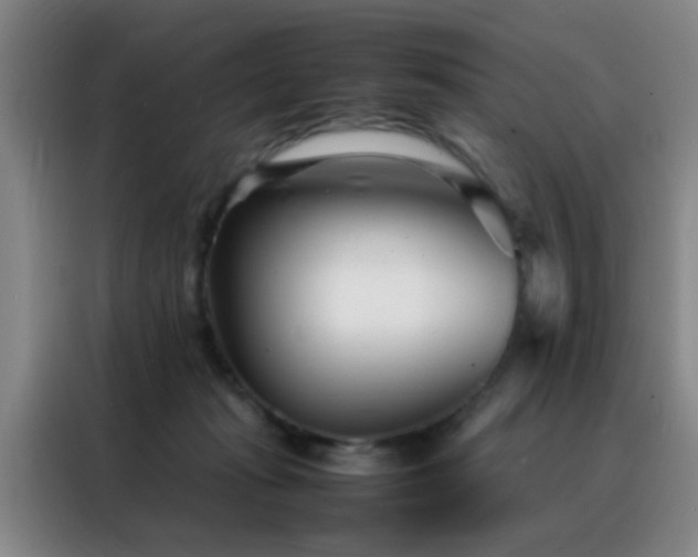 X0000088130269200705211121