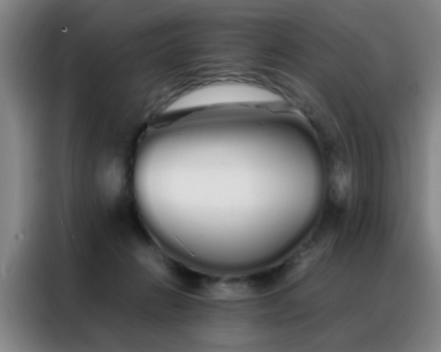 X0000088130270200705211122