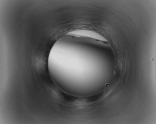 X0000088130271200705211122