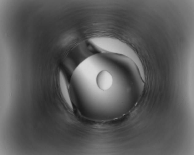 X0000088130272200705211122