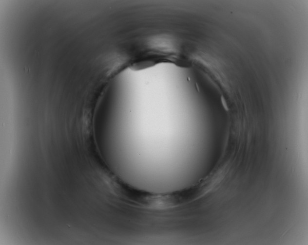 X0000088130273200705211122