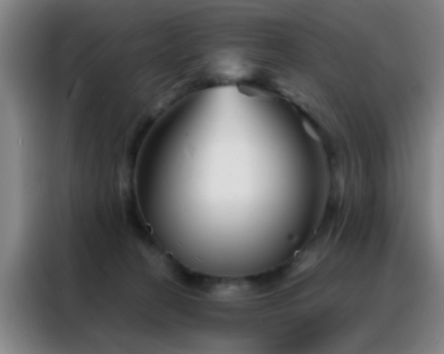 X0000088130274200705211122