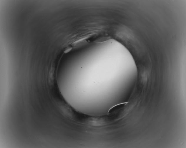 X0000088130275200705211122