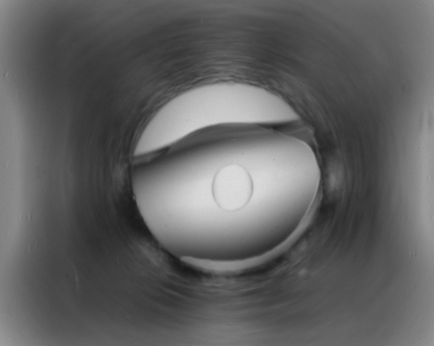 X0000088130276200705211122