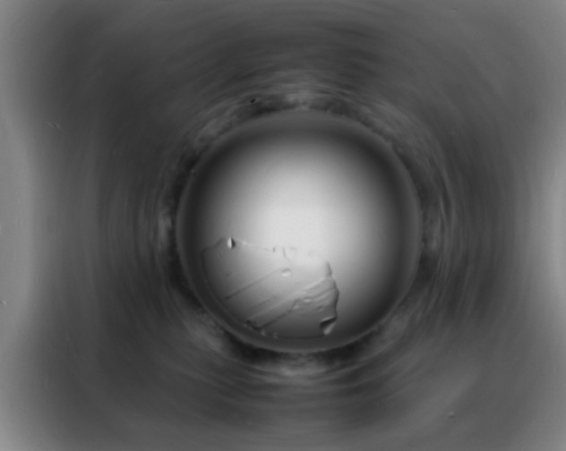 X0000088130279200705211122