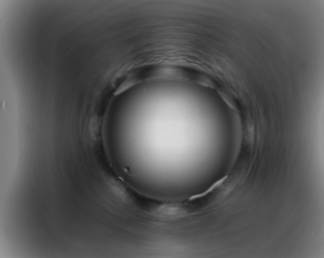 X0000088130280200705211122